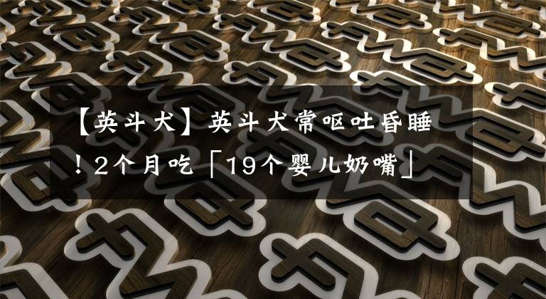 【英斗犬】英斗犬常呕吐昏睡！2个月吃「19个婴儿奶嘴」　全家没人察觉