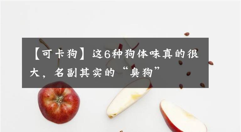【可卡狗】这6种狗体味真的很大，名副其实的“臭狗”