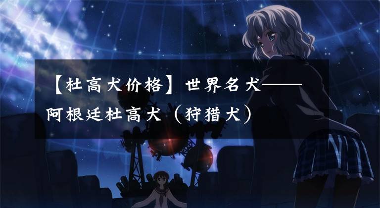 【杜高犬价格】世界名犬——阿根廷杜高犬（狩猎犬）