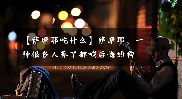 【萨摩耶吃什么】萨摩耶,一种很多人养了都喊后悔的狗