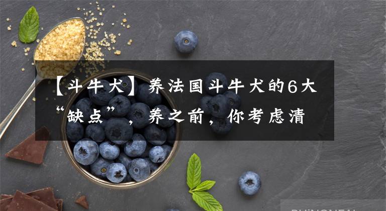 【斗牛犬】养法国斗牛犬的6大“缺点”，养之前，你考虑清楚了没？