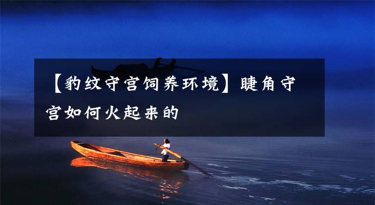 【豹纹守宫饲养环境】睫角守宫如何火起来的