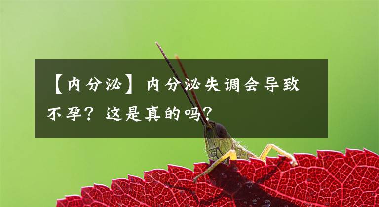 【内分泌】内分泌失调会导致不孕？这是真的吗？