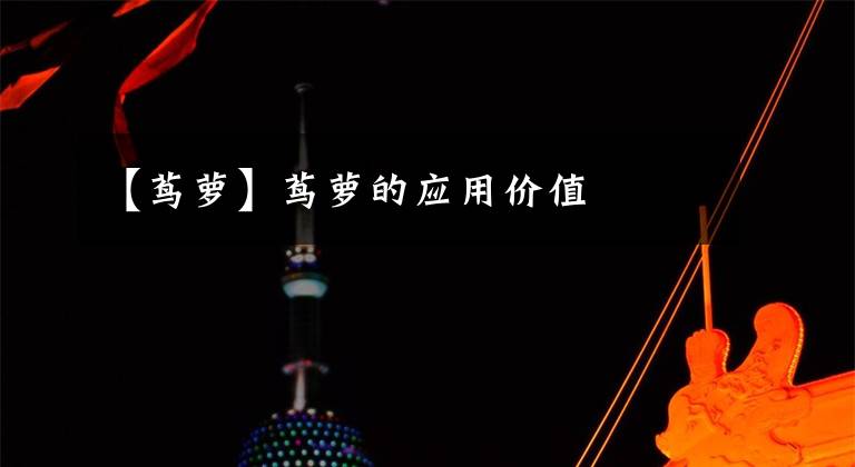 【茑萝】茑萝的应用价值