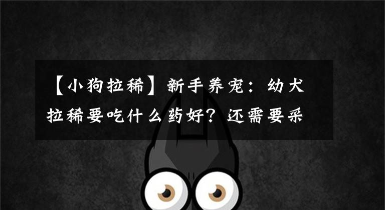 【小狗拉稀】新手养宠：幼犬拉稀要吃什么药好？还需要采取什么措施解决？