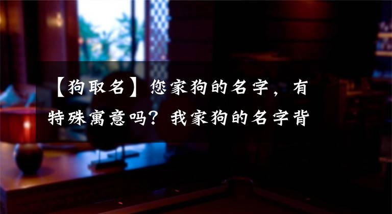 【狗取名】您家狗的名字,有特殊寓意吗?我家狗的名字背后,有个催泪的故事