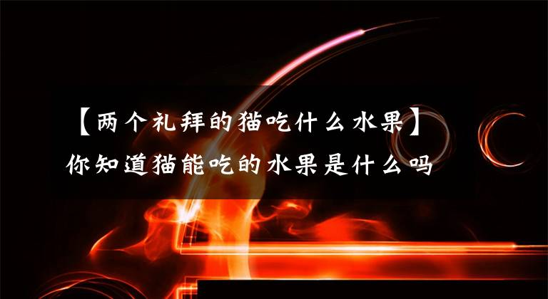 【两个礼拜的猫吃什么水果】你知道猫能吃的水果是什么吗?