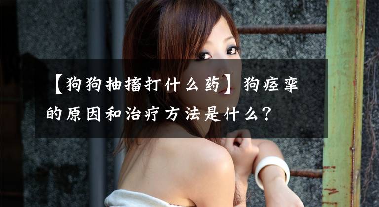 【狗狗抽搐打什么药】狗痉挛的原因和治疗方法是什么？