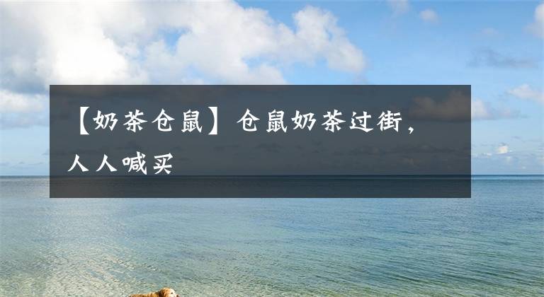 【奶茶仓鼠】仓鼠奶茶过街，人人喊买