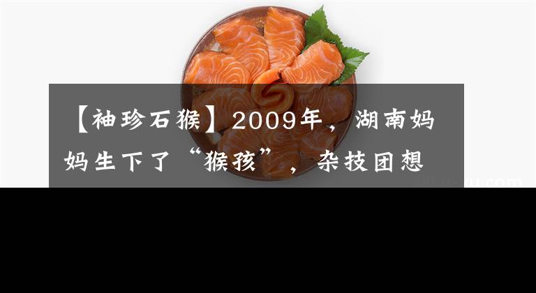 【袖珍石猴】2009年,湖南妈妈生下了“猴孩”,杂技团想出钱购买,后来怎样?