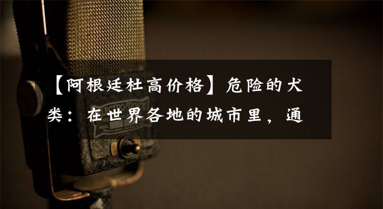 【阿根廷杜高价格】危险的犬类：在世界各地的城市里，通常被禁养的10种犬种