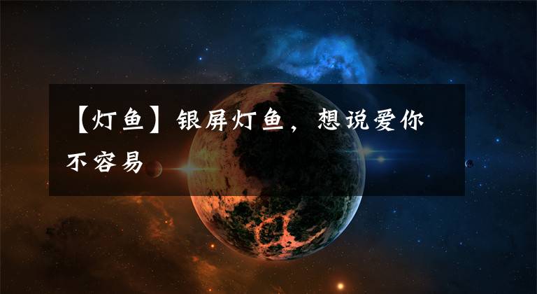 【灯鱼】银屏灯鱼，想说爱你不容易