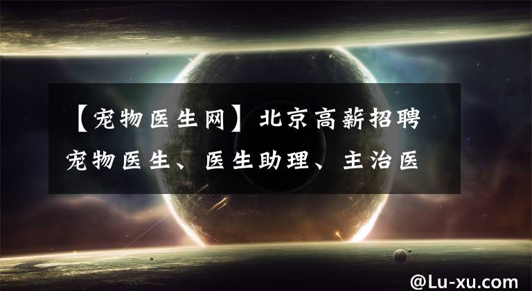 【宠物医生网】北京高薪招聘宠物医生、医生助理、主治医生,欢迎加入