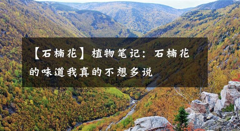 【石楠花】植物笔记：石楠花的味道我真的不想多说