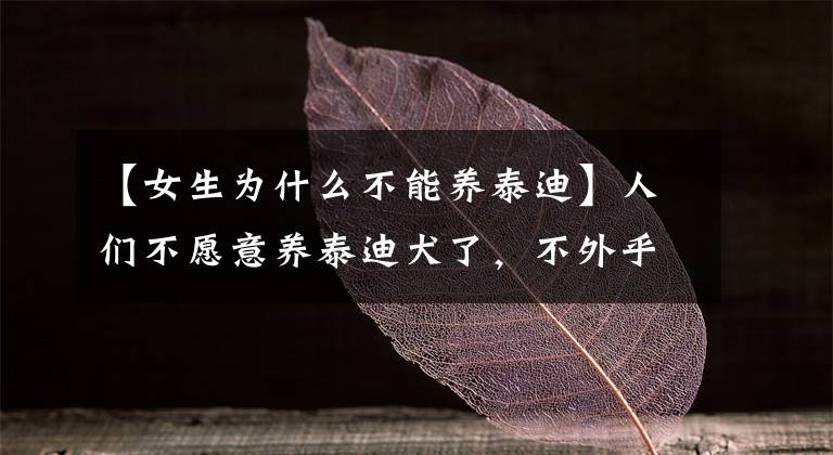 【女生为什么不能养泰迪】人们不愿意养泰迪犬了,不外乎是这几个原因