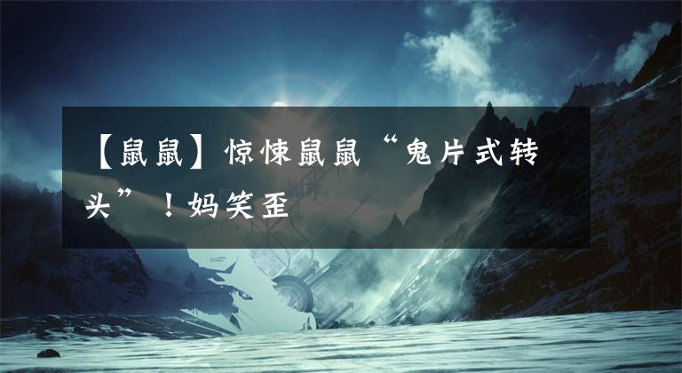 【鼠鼠】惊悚鼠鼠“鬼片式转头”!妈笑歪