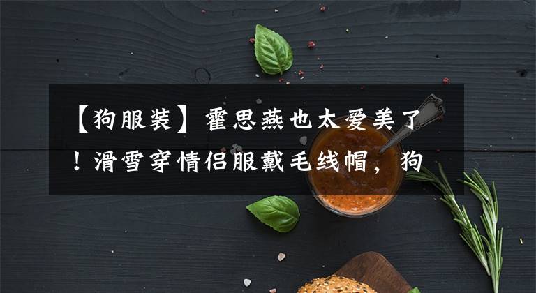 【狗服装】霍思燕也太爱美了！滑雪穿情侣服戴毛线帽，狗塞衣服里取暖真聪明