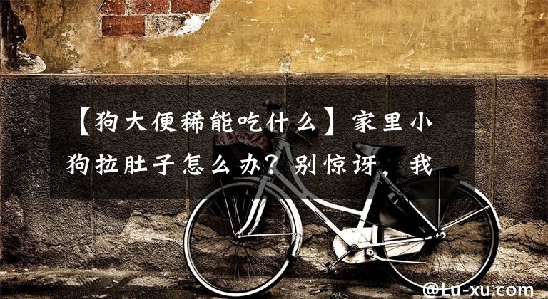 【狗大便稀能吃什么】家里小狗拉肚子怎么办？别惊讶，我教你一招。