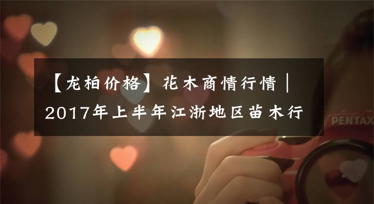 【龙柏价格】花木商情行情｜2017年上半年江浙地区苗木行情分析