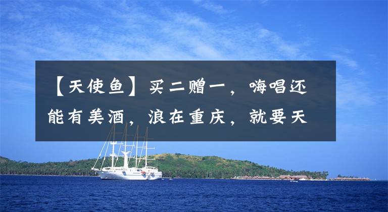 【天使鱼】买二赠一,嗨唱还能有美酒,浪在重庆,就要天使鱼