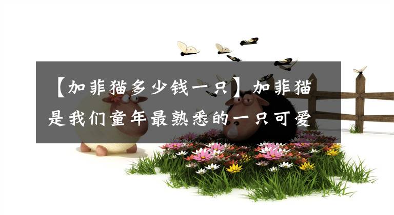 【加菲猫多少钱一只】加菲猫是我们童年最熟悉的一只可爱小宠物，它机智搞怪