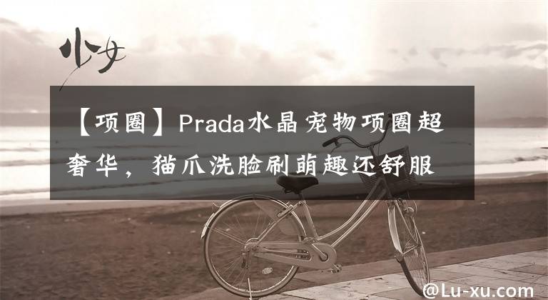 【项圈】Prada水晶宠物项圈超奢华，猫爪洗脸刷萌趣还舒服丨是日美好事物
