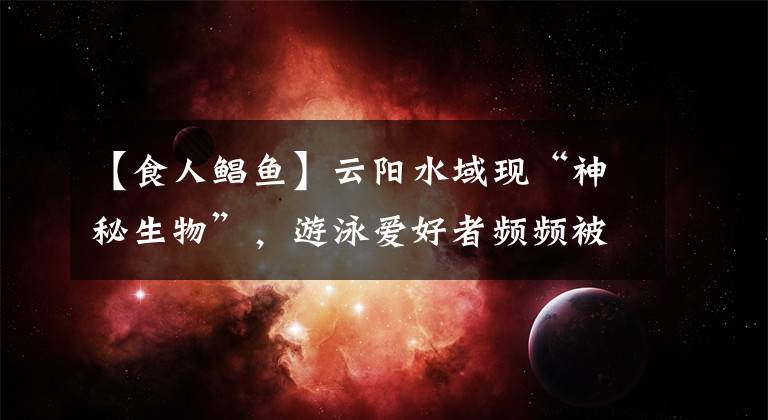 【食人鲳鱼】云阳水域现“神秘生物”，游泳爱好者频频被咬，到底是啥？