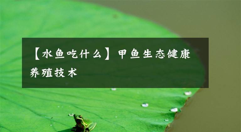 【水鱼吃什么】甲鱼生态健康养殖技术