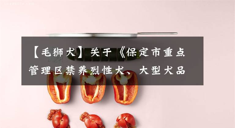 【毛狮犬】关于《保定市重点管理区禁养烈性犬、大型犬品种名录》的公告