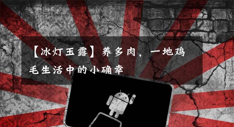 【冰灯玉露】养多肉，一地鸡毛生活中的小确幸