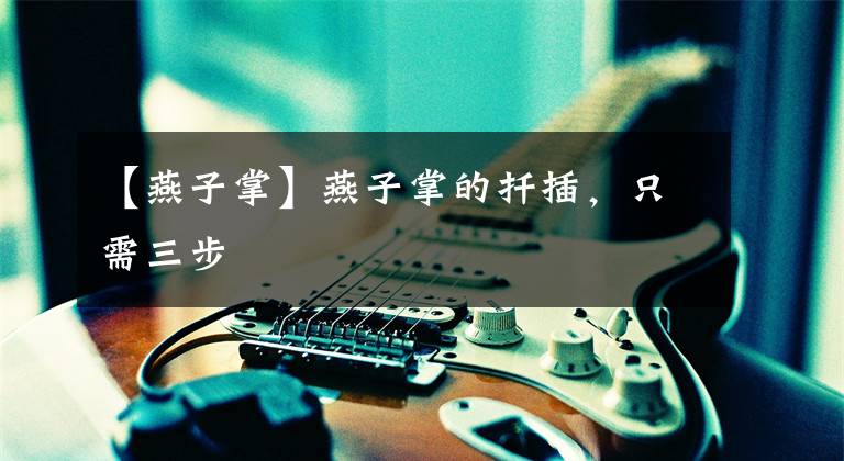 【燕子掌】燕子掌的扦插,只需三步