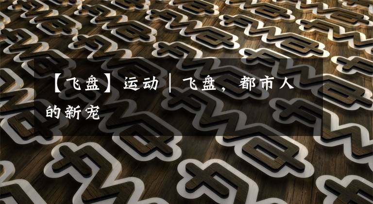 【飞盘】运动｜飞盘，都市人的新宠