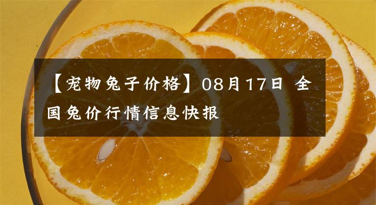 【宠物兔子价格】08月17日 全国兔价行情信息快报