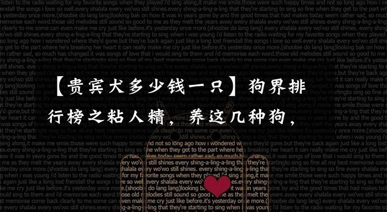 【贵宾犬多少钱一只】狗界排行榜之粘人精，养这几种狗，没点自由