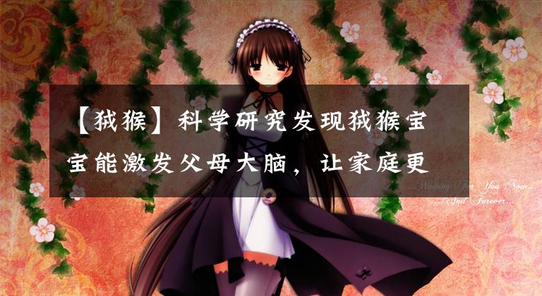 【狨猴】科学研究发现狨猴宝宝能激发父母大脑,让家庭更有爱