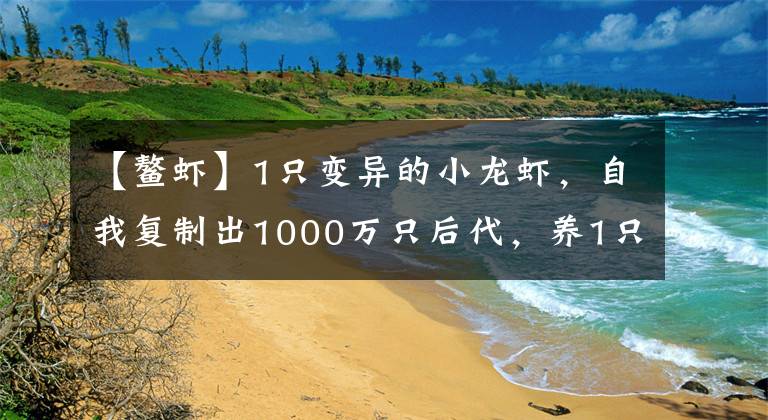 【鳌虾】1只变异的小龙虾,自我复制出1000万只后代,养1只就可以吃一辈子