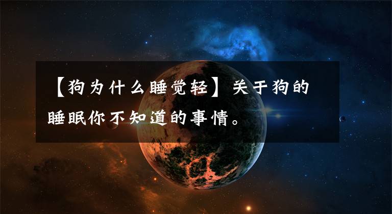【狗为什么睡觉轻】关于狗的睡眠你不知道的事情。