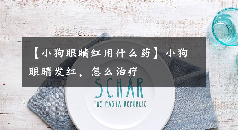 【小狗眼睛红用什么药】小狗眼睛发红,怎么治疗