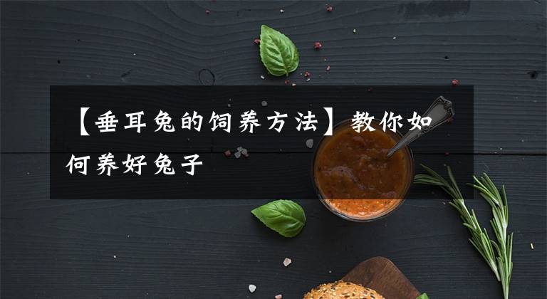 【垂耳兔的饲养方法】教你如何养好兔子