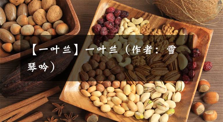 【一叶兰】一叶兰(作者:雪琴吟)