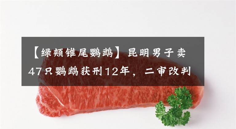 【绿颊锥尾鹦鹉】昆明男子卖47只鹦鹉获刑12年,二审改判缓刑