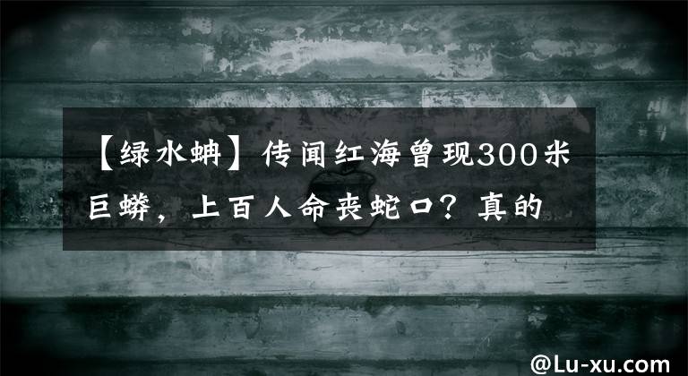 【绿水蚺】传闻红海曾现300米巨蟒，上百人命丧蛇口？真的有这么大的蛇吗？