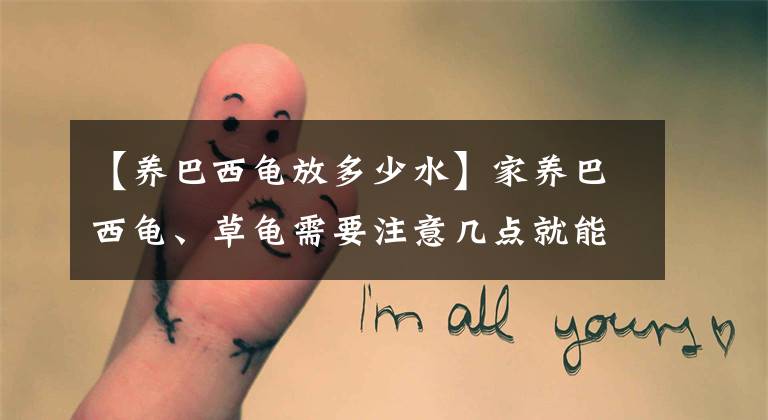 【养巴西龟放多少水】家养巴西龟、草龟需要注意几点就能养好