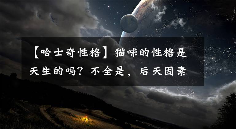 【哈士奇性格】猫咪的性格是天生的吗？不全是，后天因素影响也很大