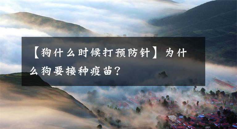 【狗什么时候打预防针】为什么狗要接种疫苗?