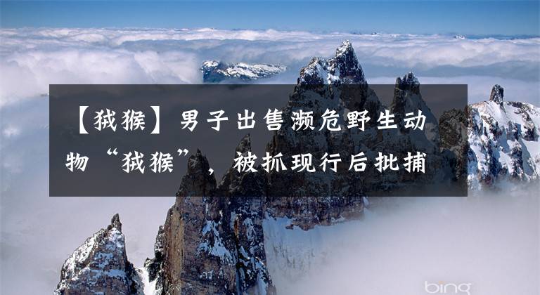 【狨猴】男子出售濒危野生动物“狨猴”，被抓现行后批捕