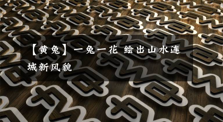 【黄兔】一兔一花 绘出山水连城新风貌