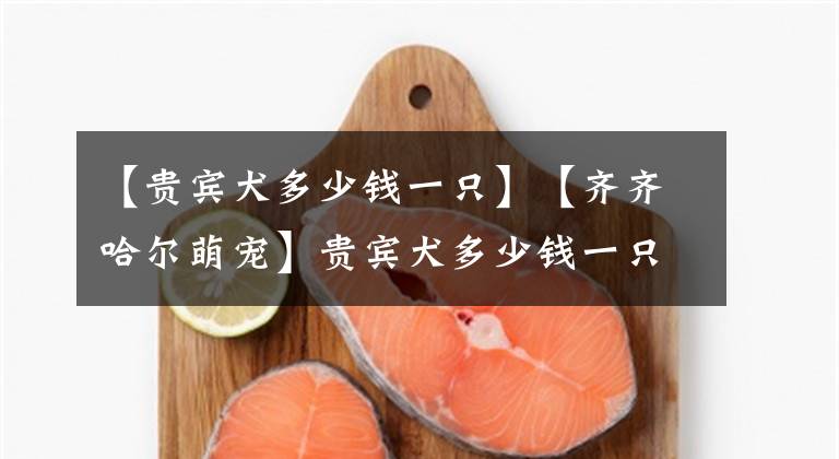 【贵宾犬多少钱一只】【齐齐哈尔萌宠】贵宾犬多少钱一只,按什么标准来定价?