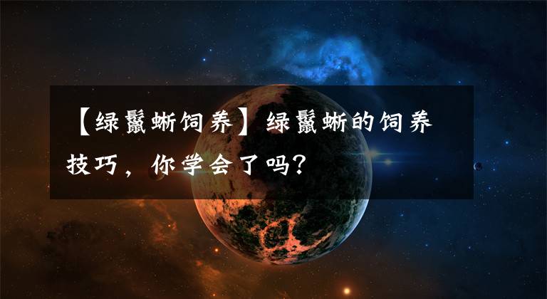 【绿鬣蜥饲养】绿鬣蜥的饲养技巧,你学会了吗?