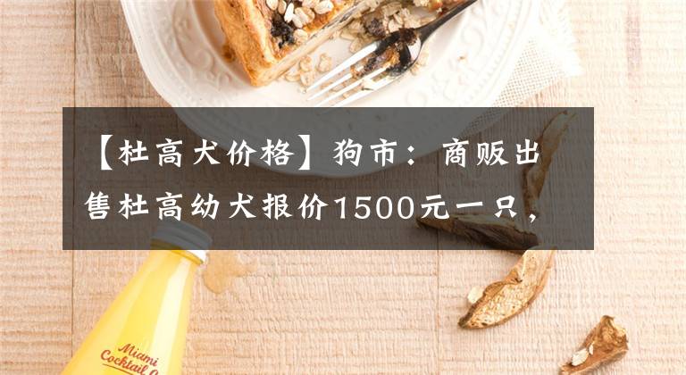 【杜高犬价格】狗市：商贩出售杜高幼犬报价1500元一只，称这是底价了！